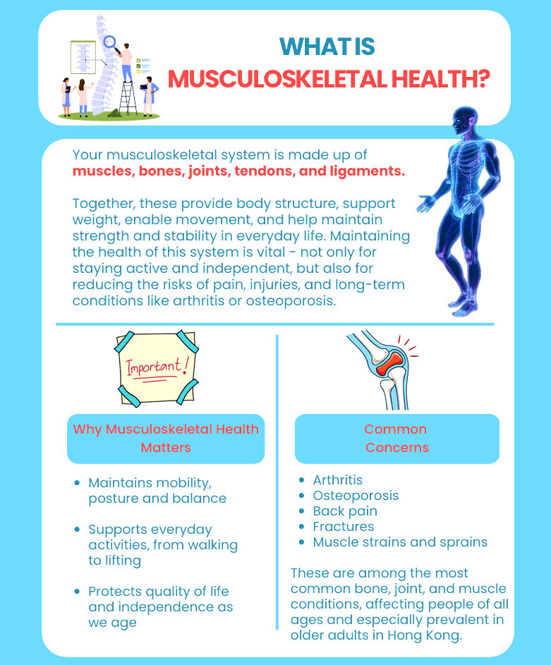 What is Musculoskeletal Health?