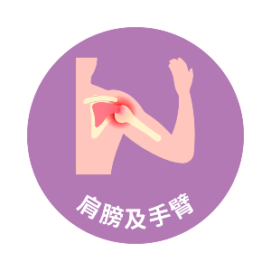 肩膀及手臂